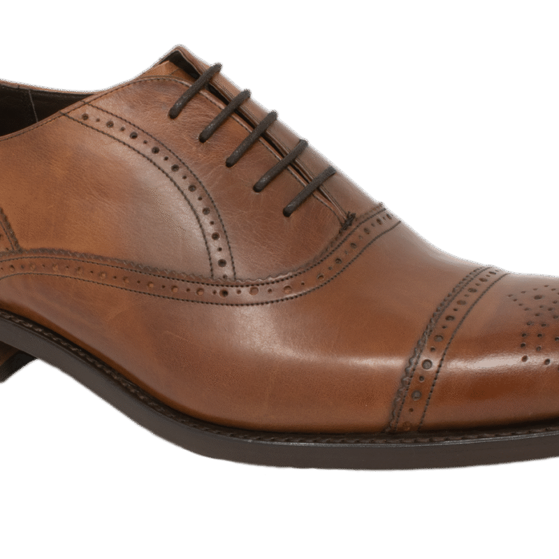 Newcastle - Noce Calf